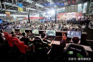 教练组在关